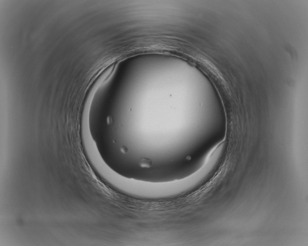 X0000111190793200907221108