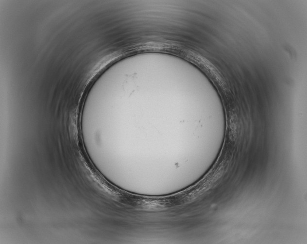 X0000111190794200907221108