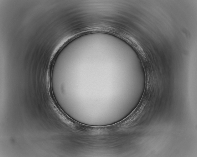 X0000111190796200907221108