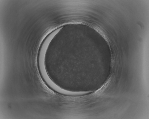 X0000111190797200907221108