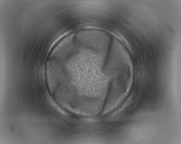 X0000111190798200907221108