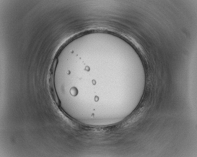 X0000111190799200907221108