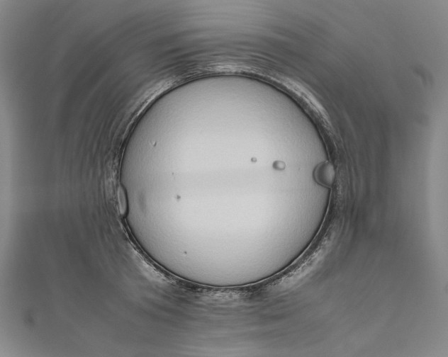 X0000111190801200907221108