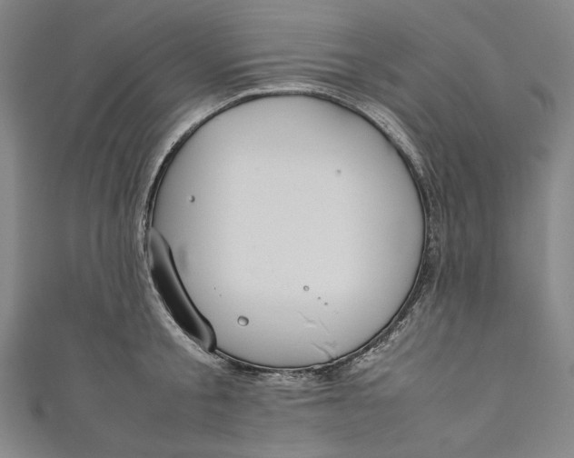 X0000111190805200907221108