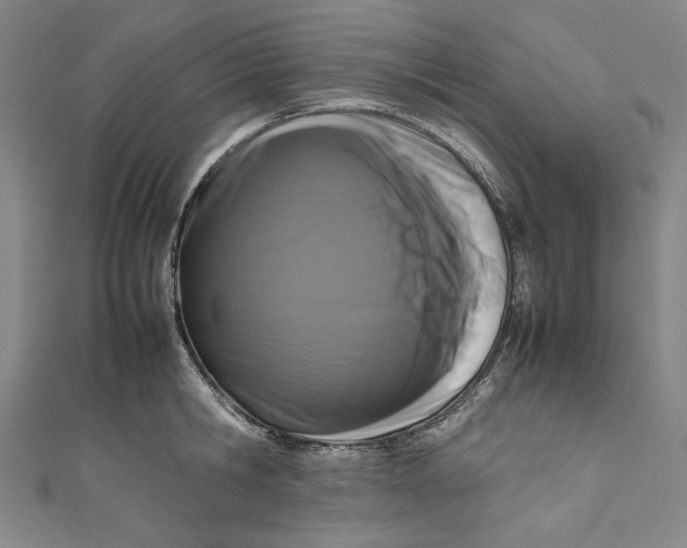 X0000111190806200907221108