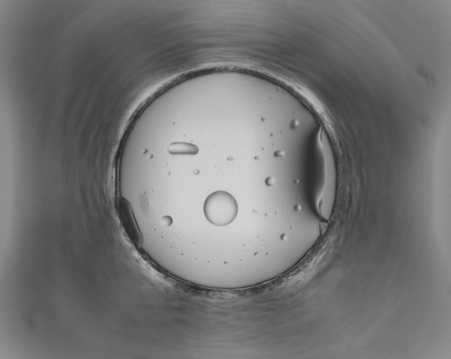 X0000111190807200907221108