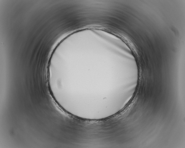 X0000111190808200907221108