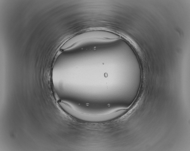 X0000111190809200907221108