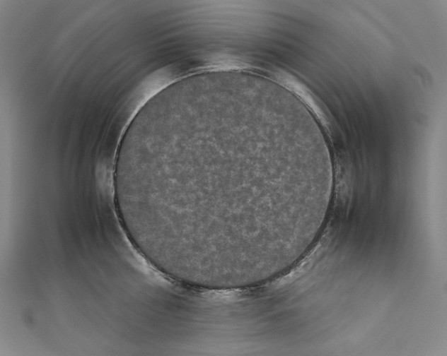 X0000111190810200907221108