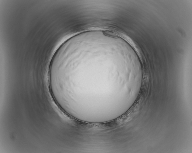 X0000111190811200907221108