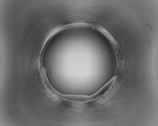 X0000111190813200907221108