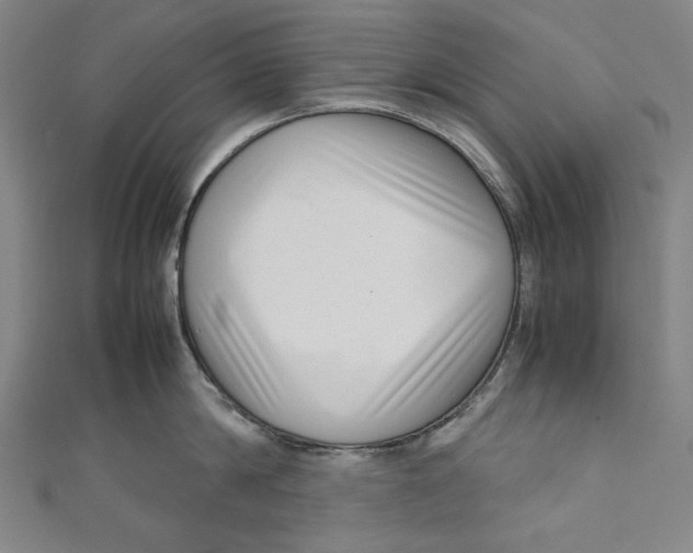 X0000111190814200907221108