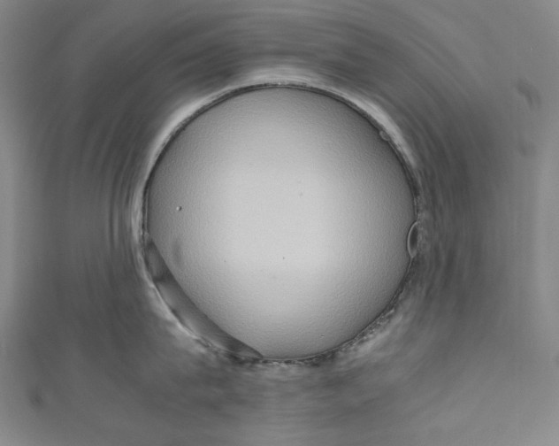 X0000111190815200907221108