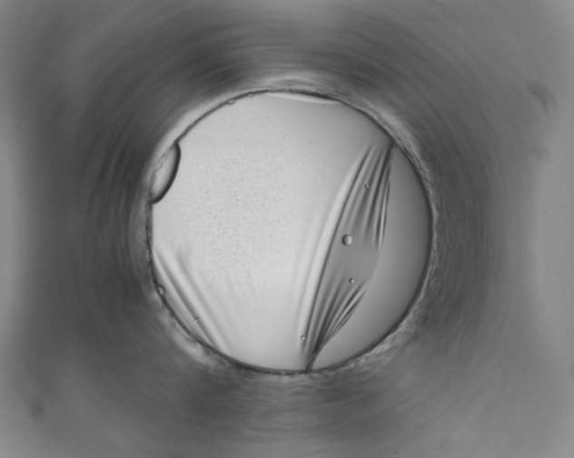 X0000111190816200907221108