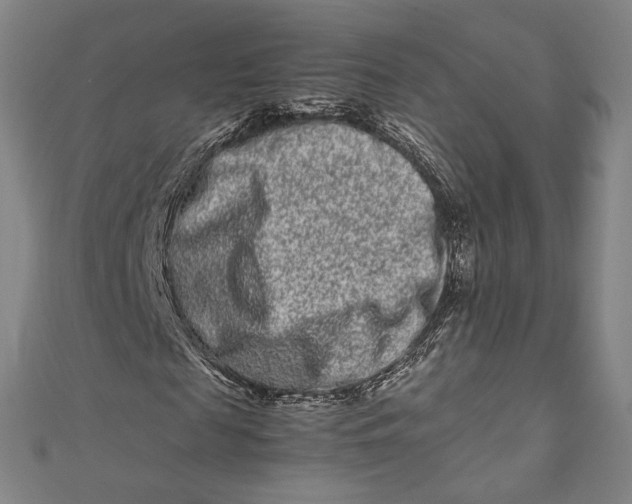 X0000111190817200907221107