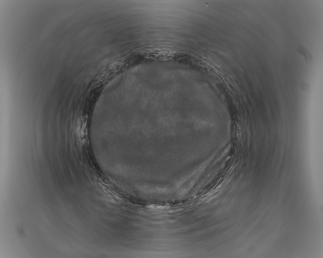 X0000111190818200907221107