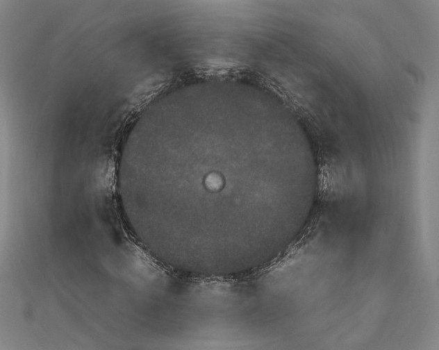 X0000111190820200907221107