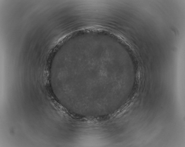 X0000111190822200907221107