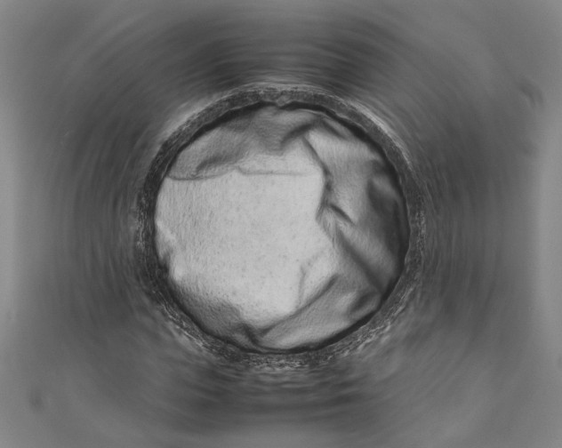 X0000111190823200907221107