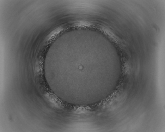 X0000111190824200907221107