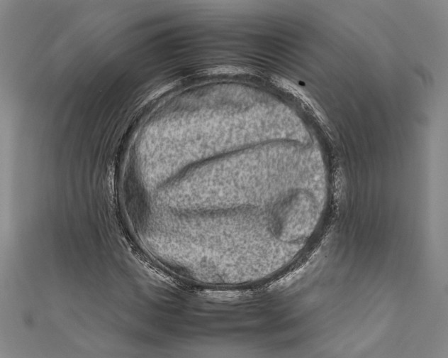 X0000111190825200907221107