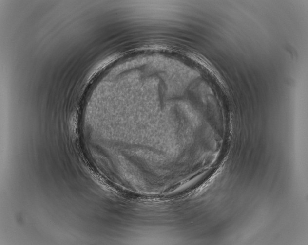 X0000111190826200907221107