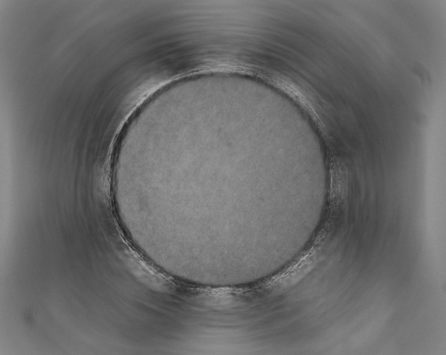 X0000111190828200907221107