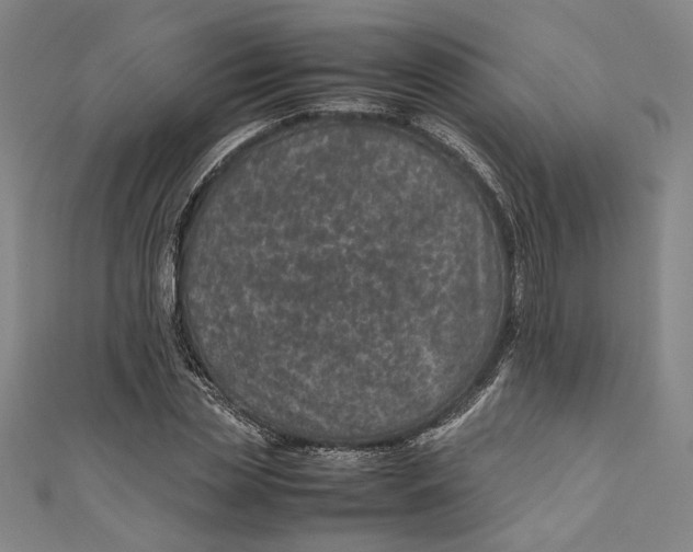 X0000111190829200907221107