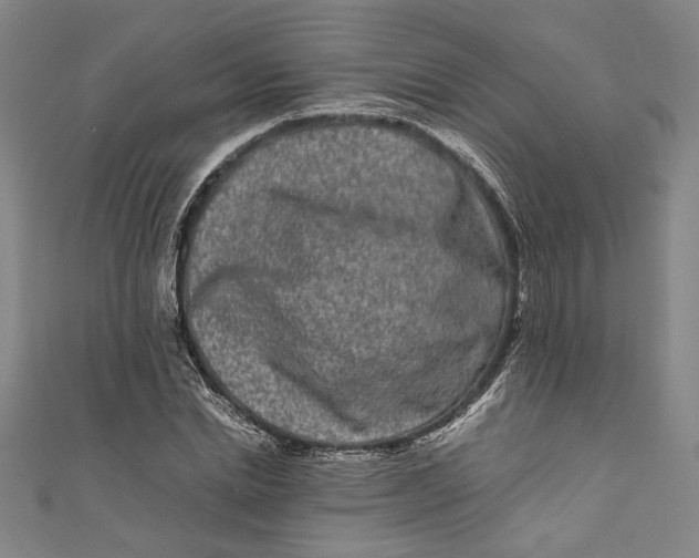 X0000111190830200907221107