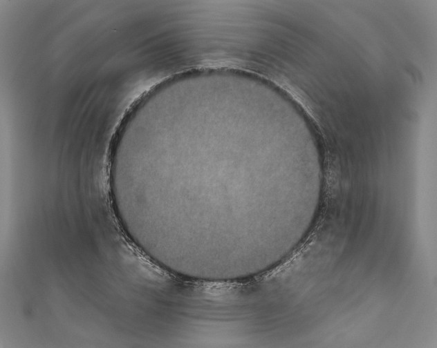 X0000111190832200907221107