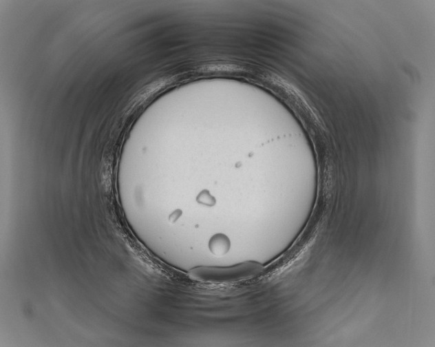 X0000111190833200907221107