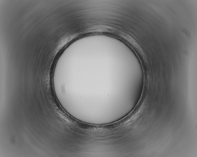 X0000111190834200907221107