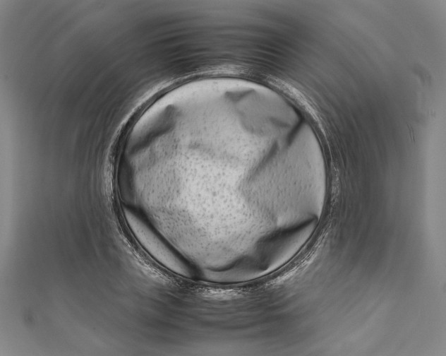 X0000111190835200907221107