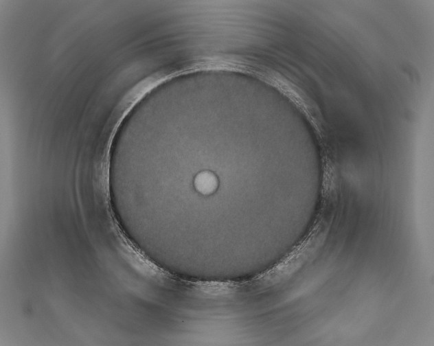 X0000111190836200907221107