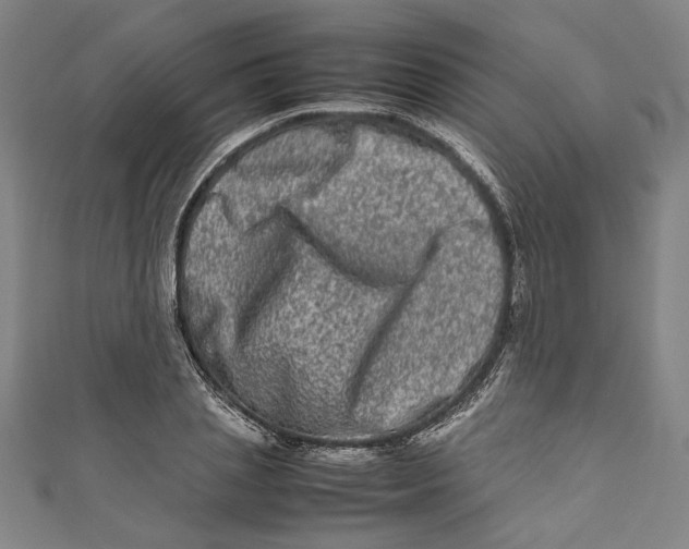 X0000111190837200907221107