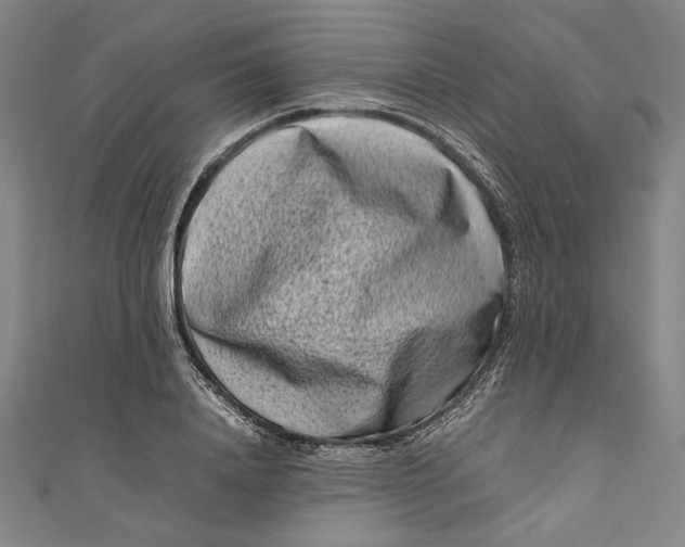 X0000111190840200907221107