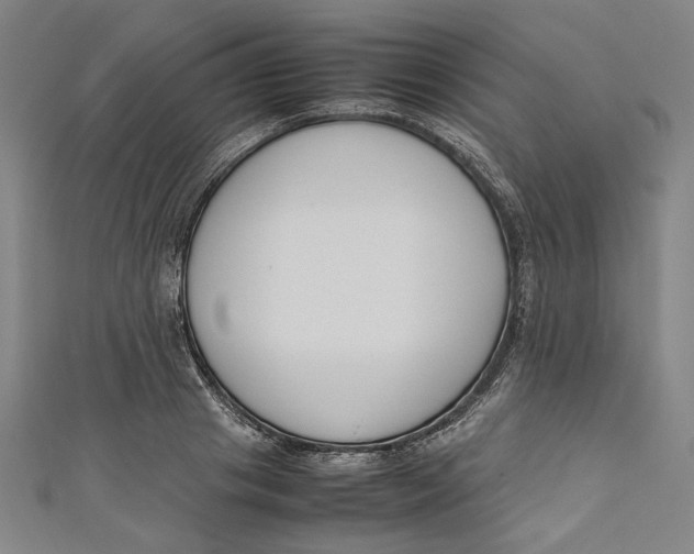 X0000111190841200907221107