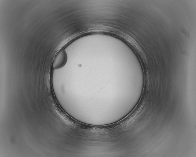 X0000111190842200907221107