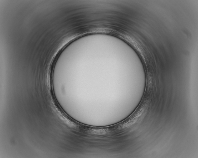 X0000111190843200907221107