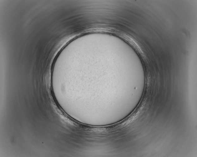 X0000111190844200907221107