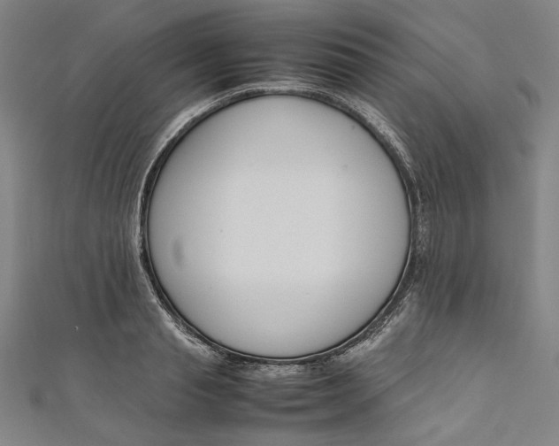 X0000111190845200907221107