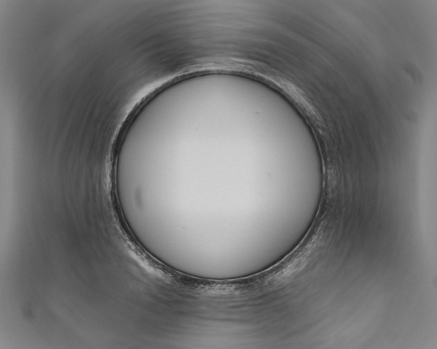 X0000111190846200907221107