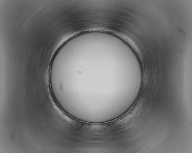 X0000111190847200907221108