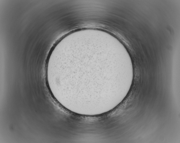 X0000111190848200907221108