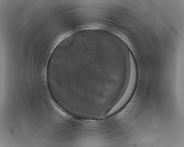 X0000111190850200907221108