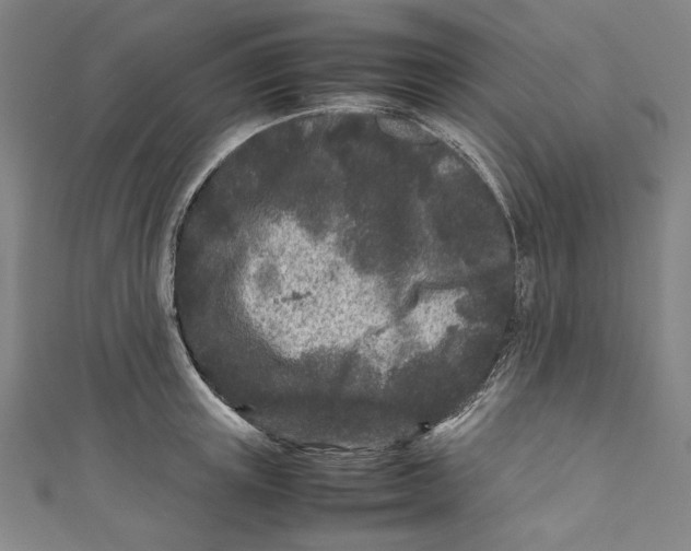 X0000111190851200907221108