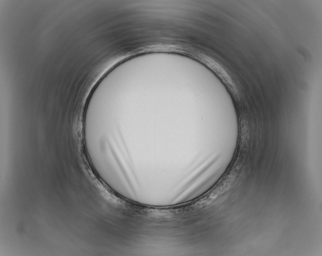 X0000111190852200907221108