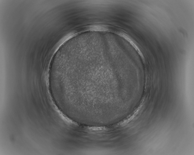 X0000111190853200907221108