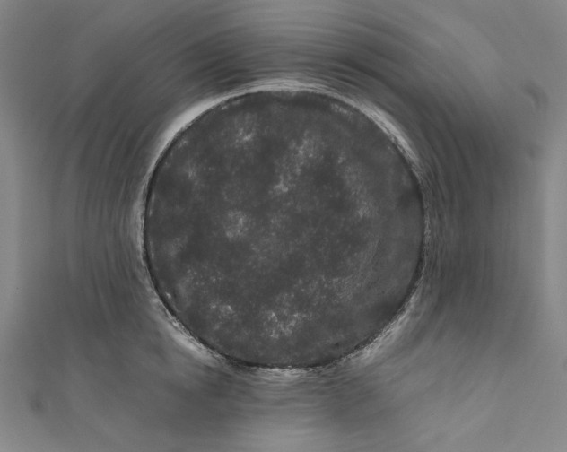 X0000111190854200907221108