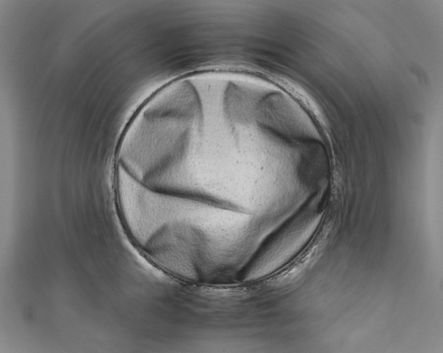 X0000111190855200907221108